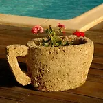 Danae Villa